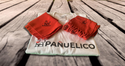 Lote 2 - Camiseta, Pañuelico y Fajin - Regalo Pulsera - Pañuelico